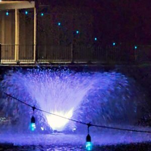 wedding packages with lighted fountain pond